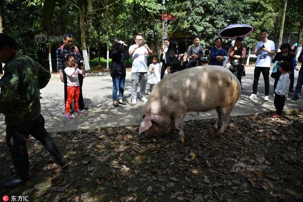 半岛在线体育官网下载相关推荐5”