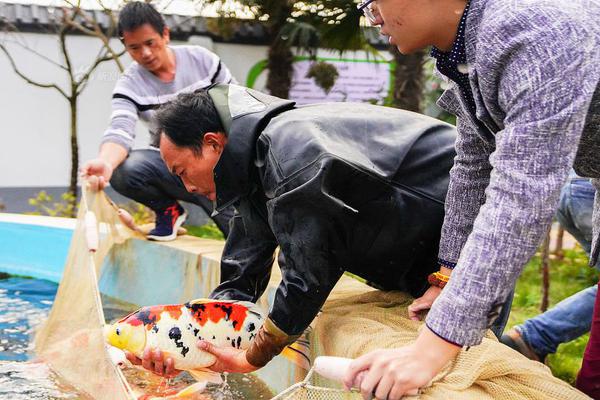 开云游戏app平台-“节奏大师”