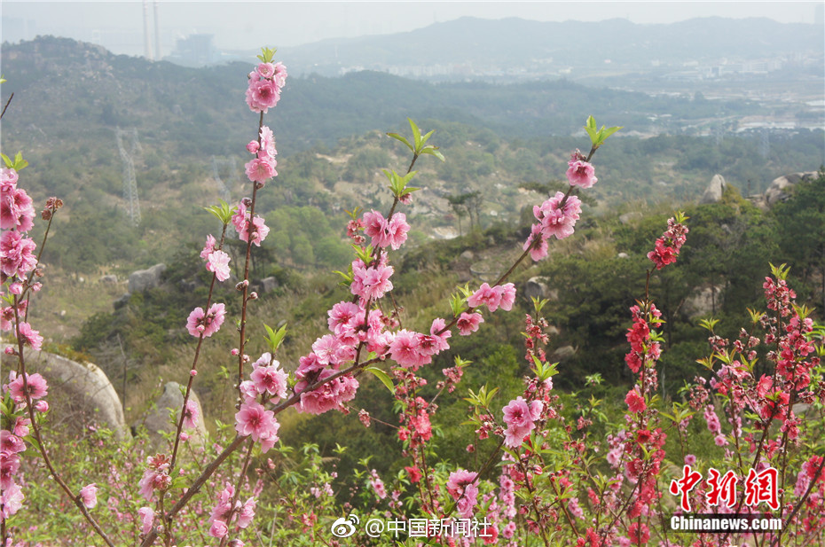 开云苹果下载app相关推荐4