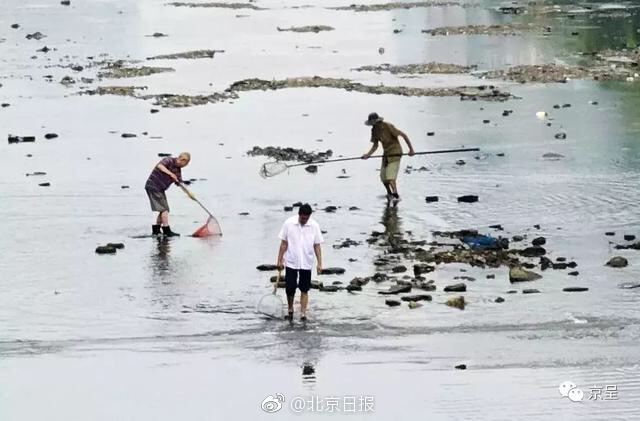 博鱼官方在线相关推荐9