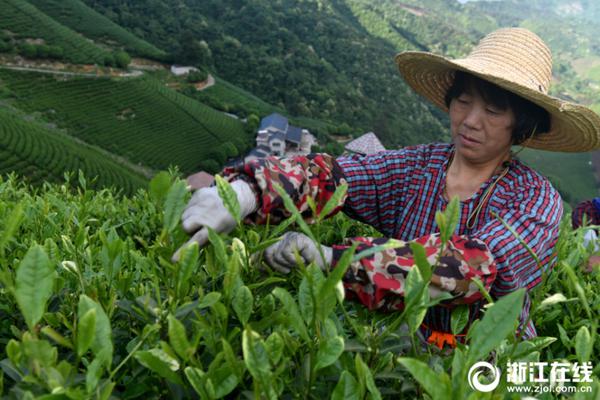 开云手机在线官网相关推荐1