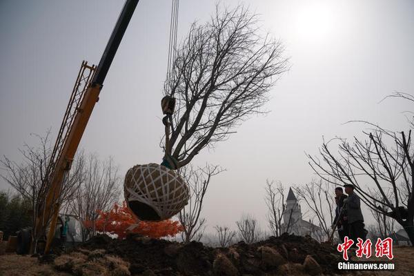 赌钱游戏相关推荐9