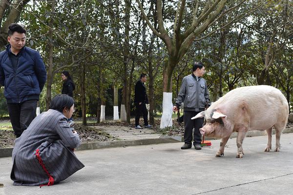 华体网官网主页-华体网官网主页