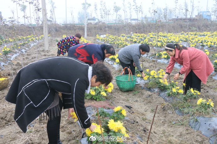 开云官方体育app下载相关推荐2”