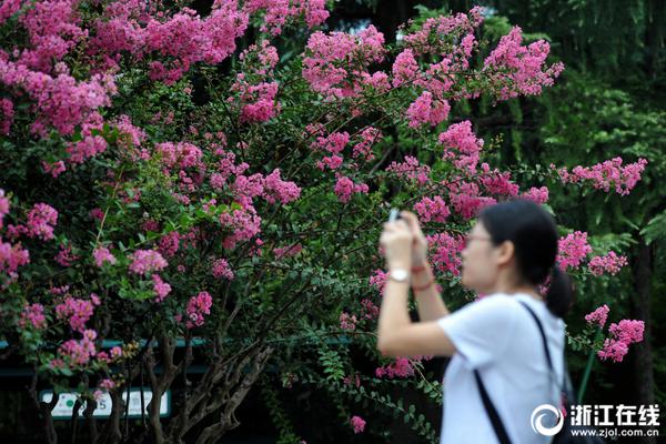 威尼斯888电子游戏下载相关推荐3