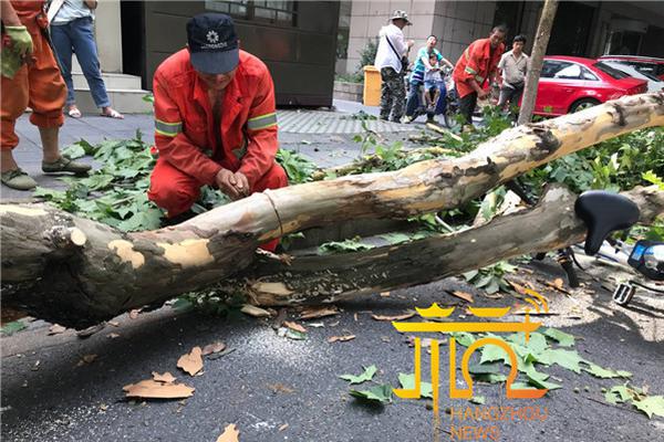 半岛在线登录入口相关推荐9