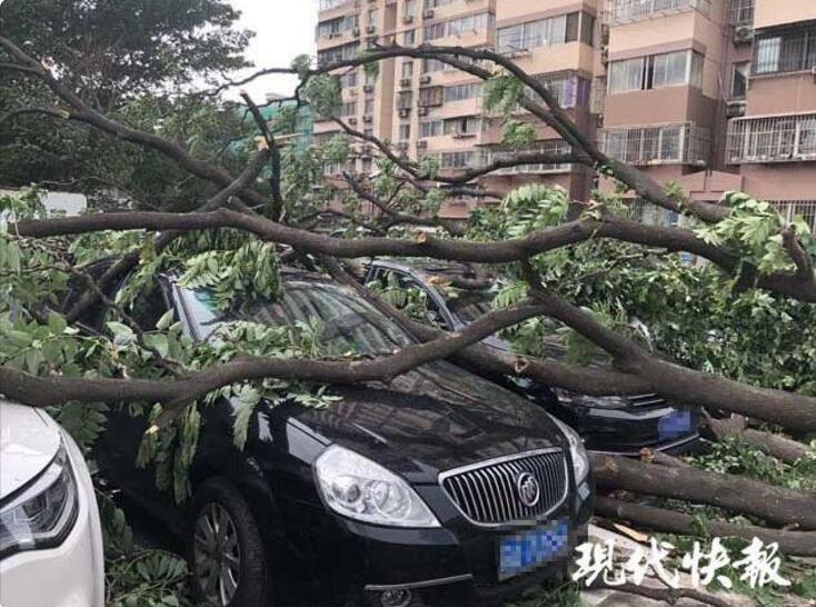 开云官方在线玩相关推荐1