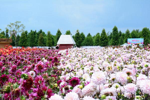 问鼎pg电子娱乐下载ios相关推荐4