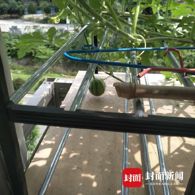 相关推荐8