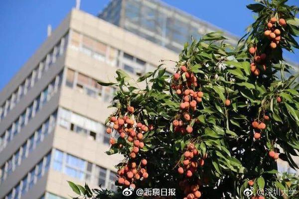 天博官方网站下载app相关推荐3