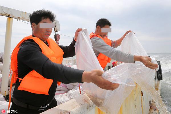 半岛官网平台相关推荐4