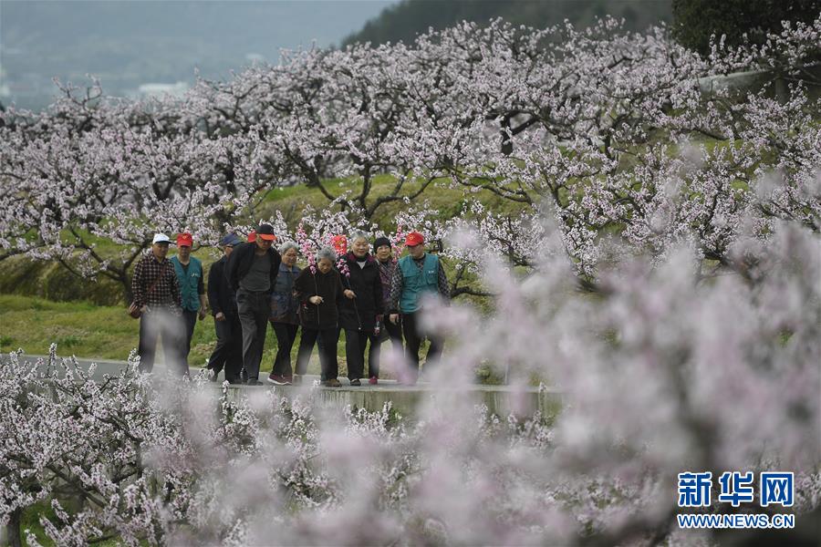 半岛官网入口-半岛官网入口