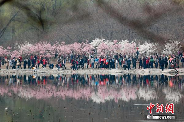 开云app苹果下载相关推荐7