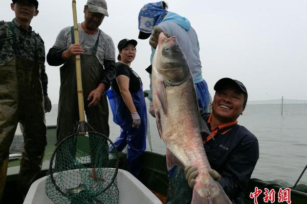 威尼斯888电子游戏下载相关推荐3