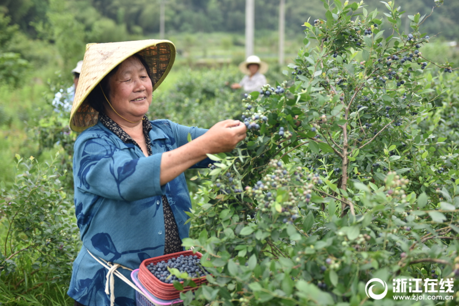 天博综合app克罗地亚相关推荐3