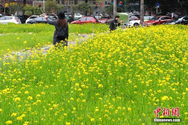 万赢娱乐官网-湖南冷水江发生煤矿井下安全事故
：已致4人遇难，一个月前市长曾暗访事发煤矿