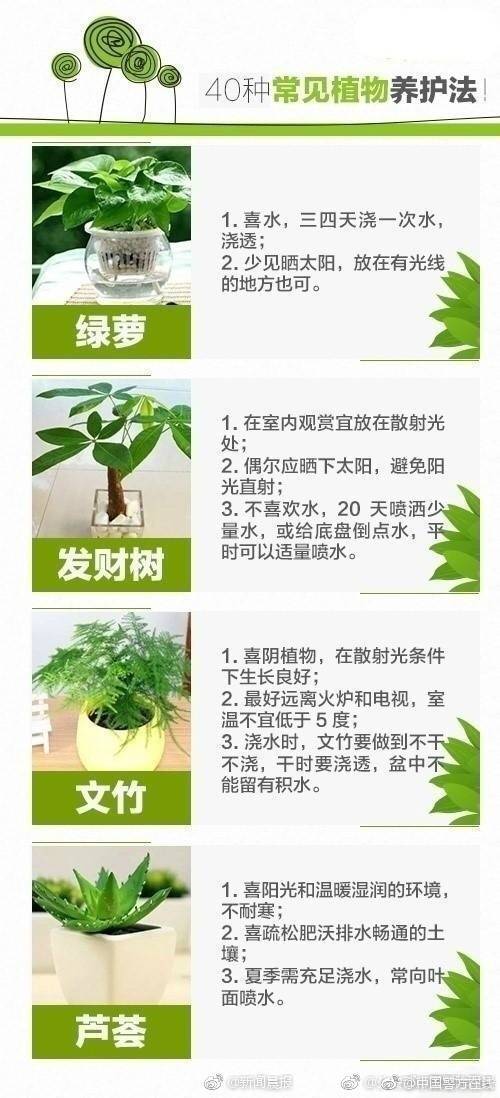 hth华体育app官网登录