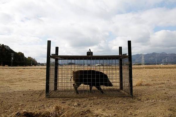 半岛在线体育官网相关推荐4