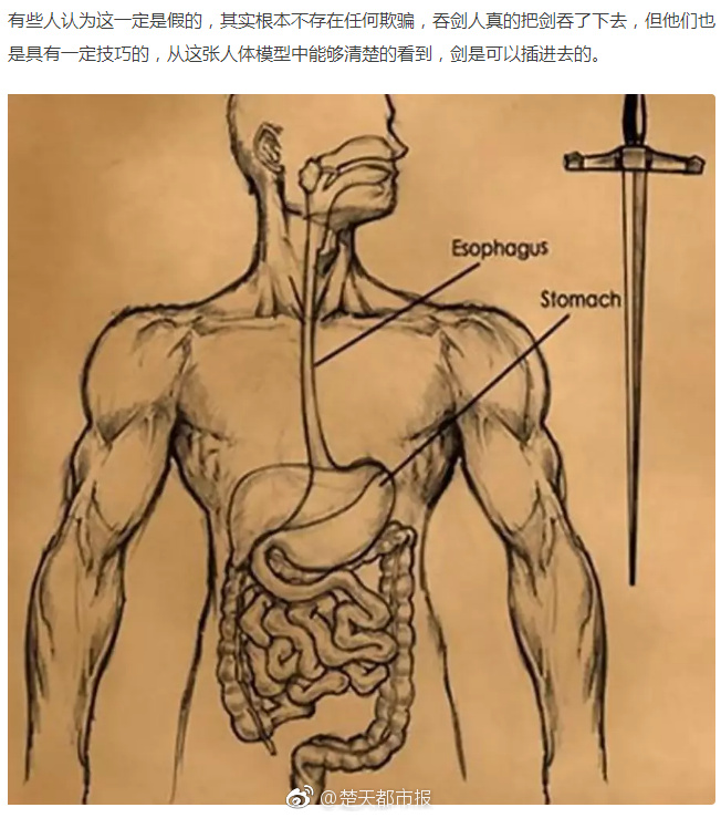 十大靠谱买球的app-骨盆可能是世界上最贵的容器