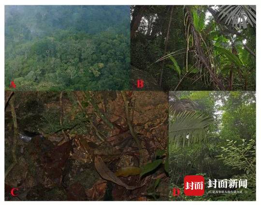 半岛在线登录下载相关推荐8