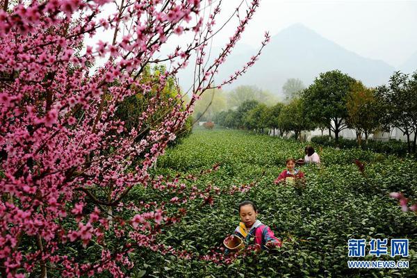 立博在线体育官网首页-立博在线体育官网首页