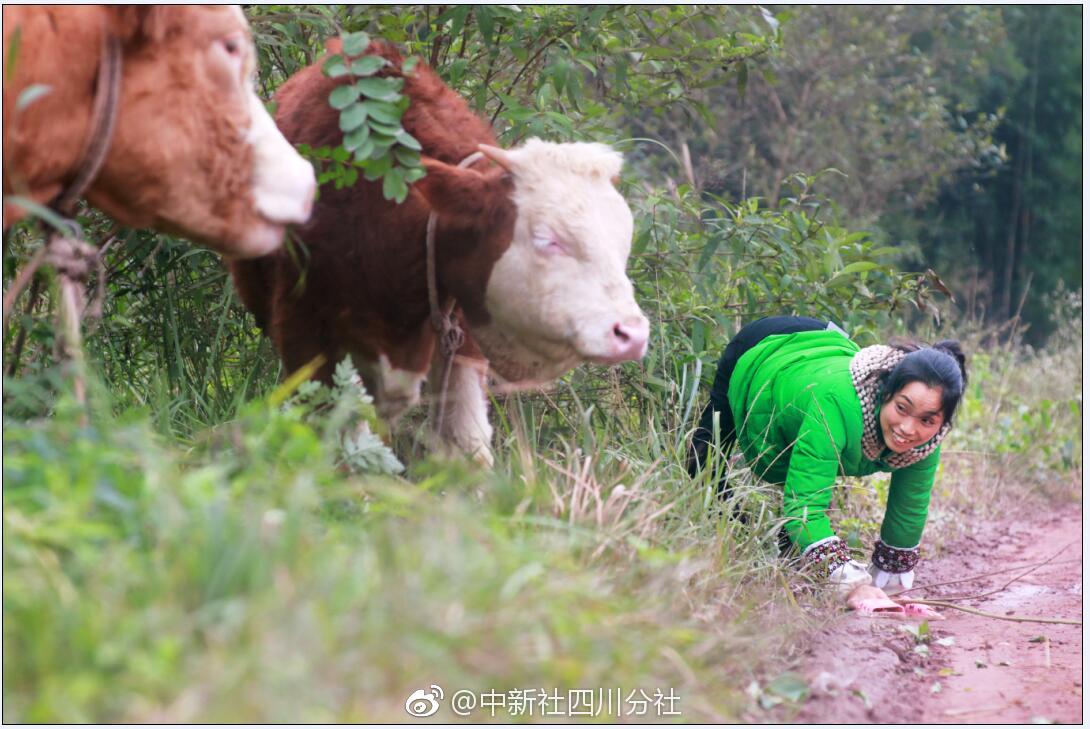 乐竞平台相关推荐10