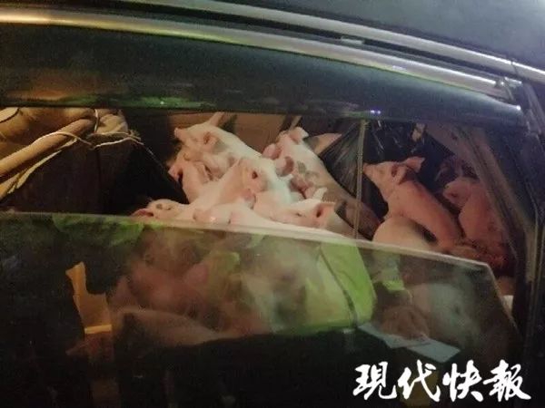 半岛体肓综合下载相关推荐9