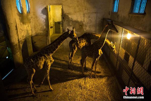 半岛在线登录入口-半岛在线登录入口