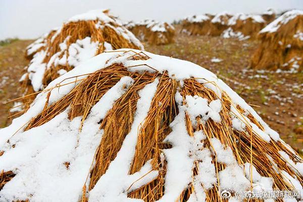 半岛在线登录官网-我国两年来超2万所幼儿园关停