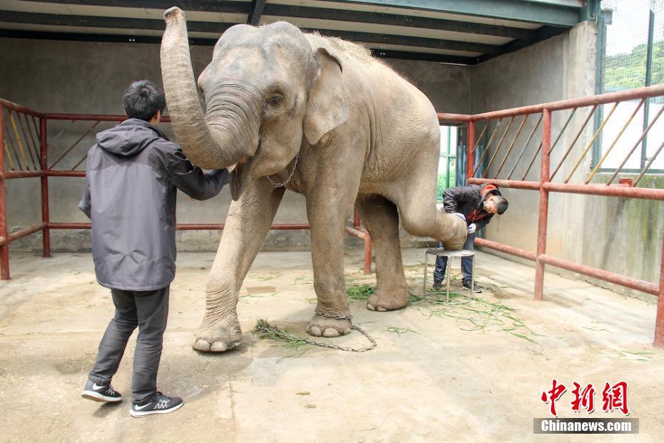 leyu乐鱼在线登录入口相关推荐1