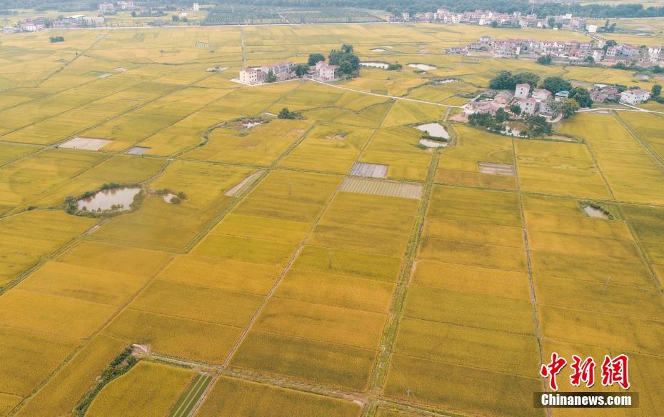 星空体育在线网页版相关推荐9