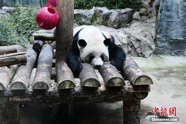 开云官方在线玩相关推荐4