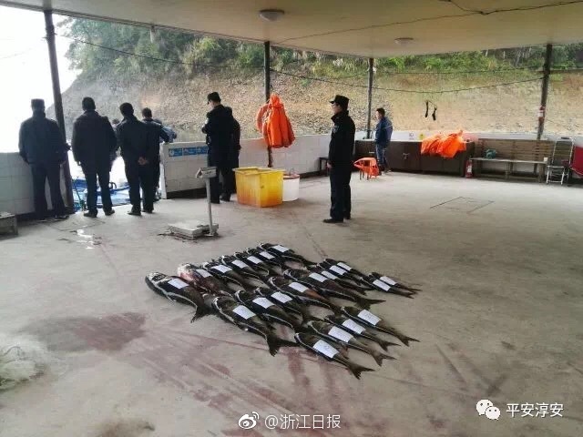 bobapp苹果下载地址相关推荐4