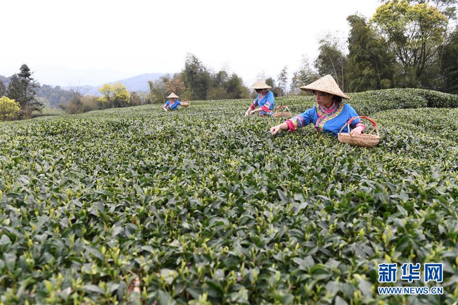 开云官方网页版相关推荐9