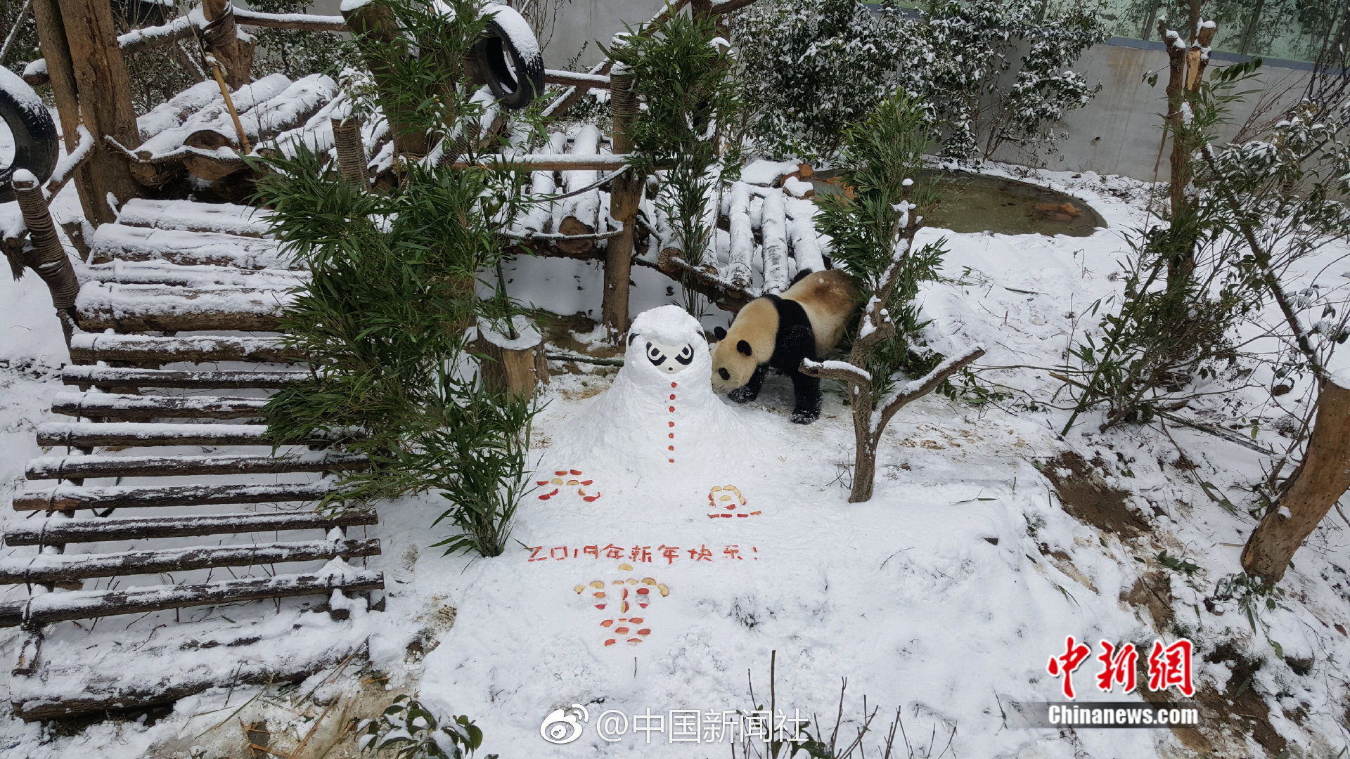 星空网页版在线登陆-新疆小女孩在机场即兴跳舞