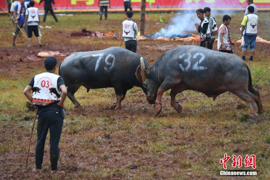 开云app在线入口相关推荐4