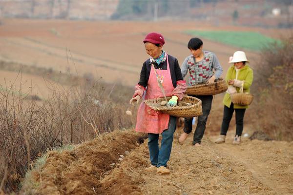 问鼎电子娱乐下载官方网站app-南部战区位南海海域开展演训活动