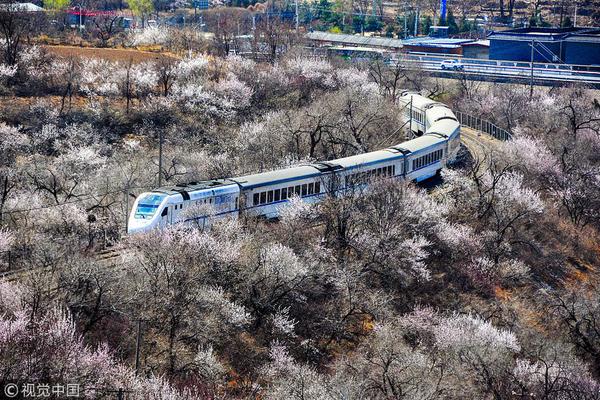 8868体育平台app下载-习近平会见法国梅里埃基金会主席夫妇