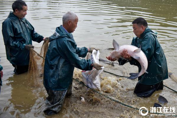 开云官方体育app下载