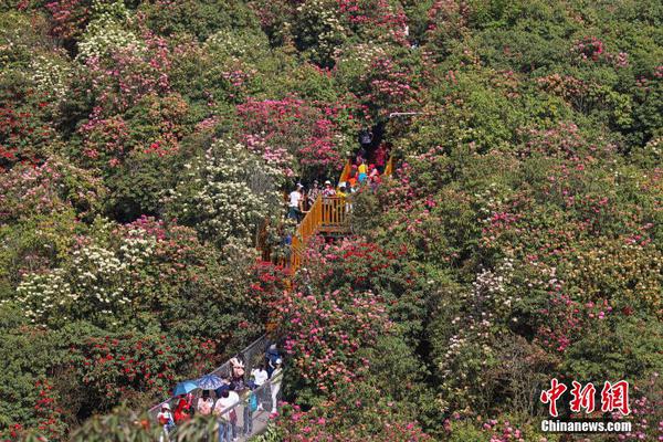 米乐登录平台-米乐登录平台