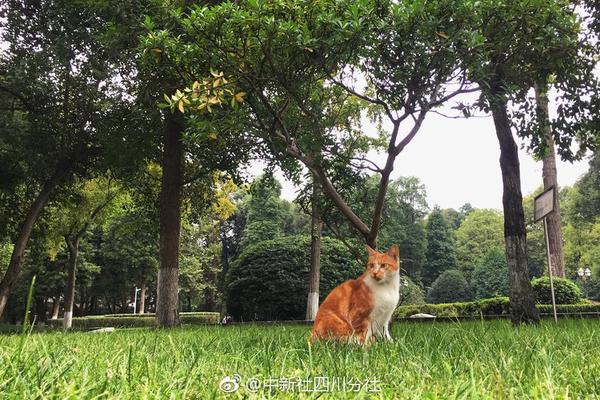 乐鱼在线登录平台相关推荐9