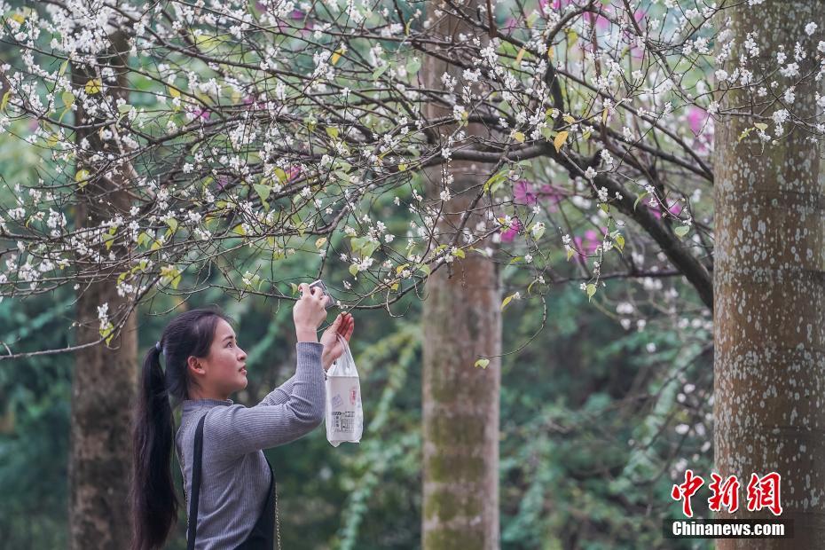 必威精装版官网相关推荐4