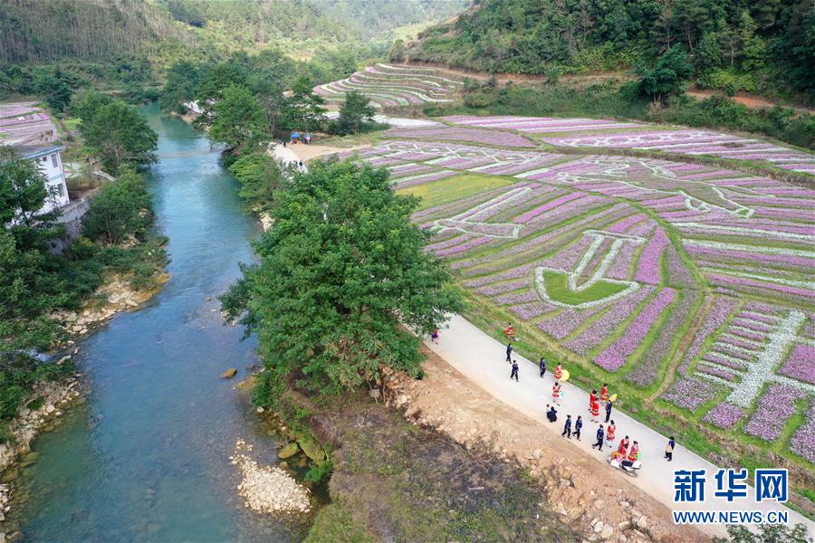 火博游戏注册相关推荐8