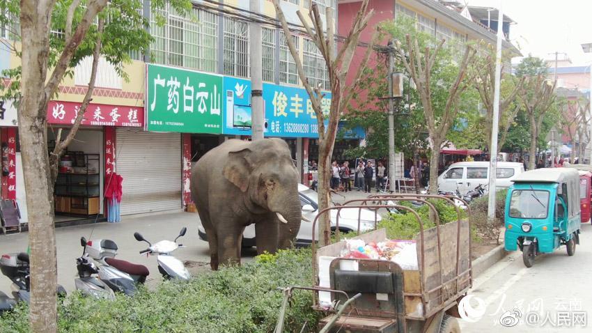 大阳城集团娱乐网