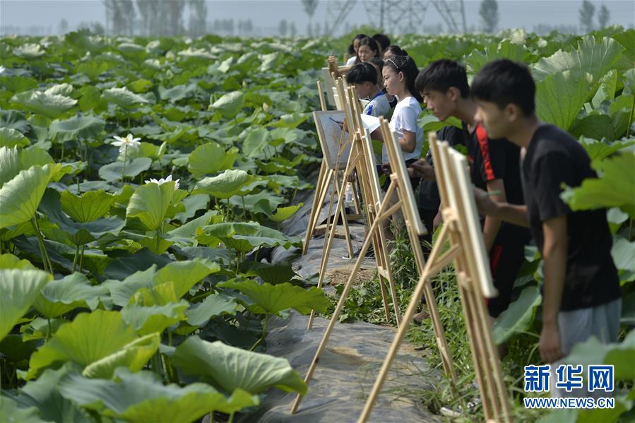 牛牛金花游戏app相关推荐2”