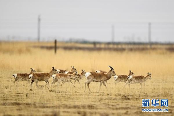 澳门大阳城娱乐官网-澳门大阳城娱乐官网