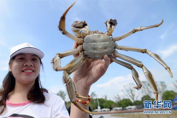 威尼斯888电子游戏下载相关推荐3