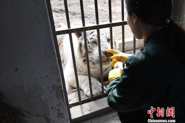 开云app官方最新下载-奔流｜陈家泠：祝中法友谊如瓷般坚硬、陶般真诚