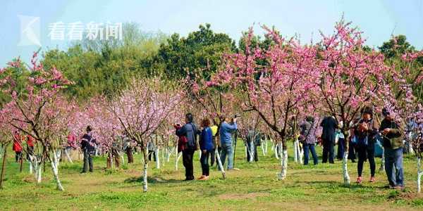 半岛在线登录入口相关推荐10