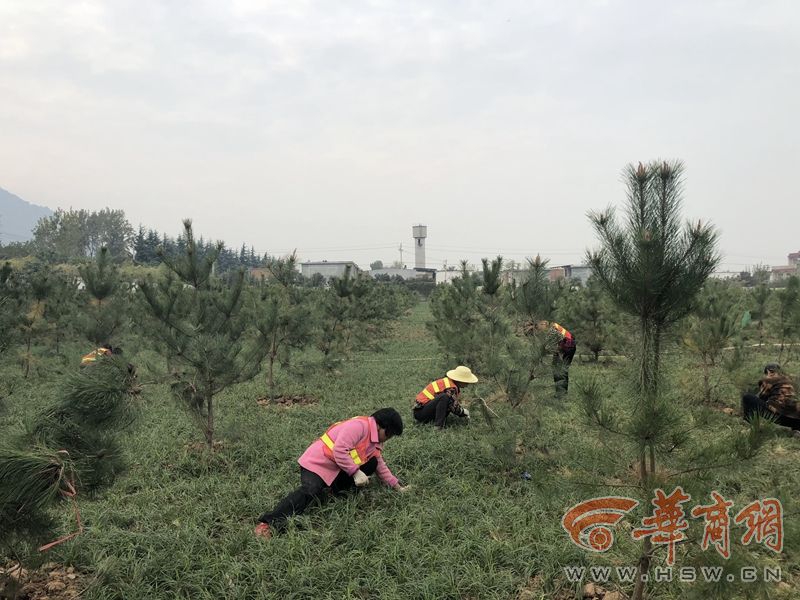 开云手机官方登录-挑战叫陌生人的名字